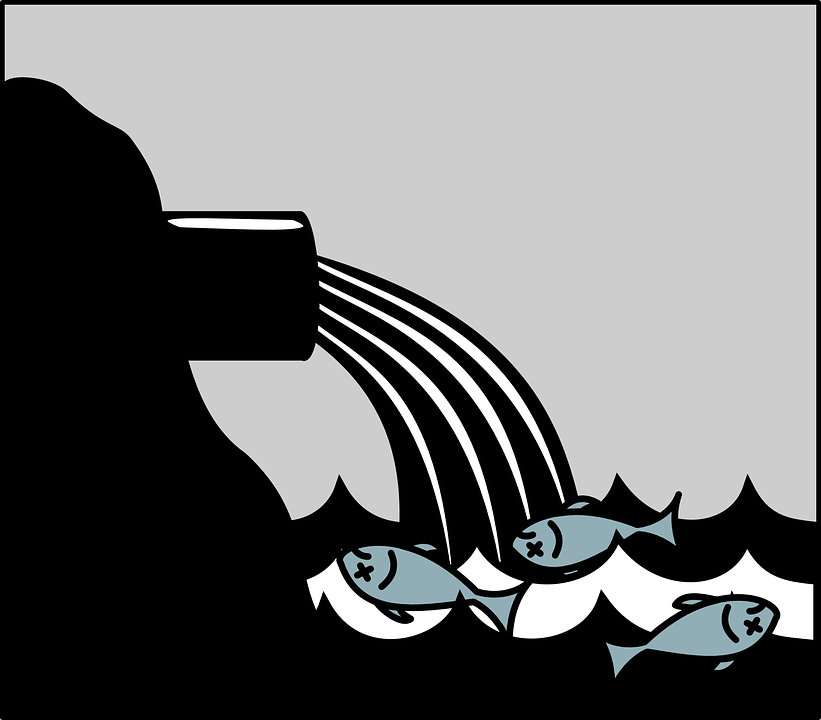 an illustration of effluent being discharged into a body of water with dead fish in it