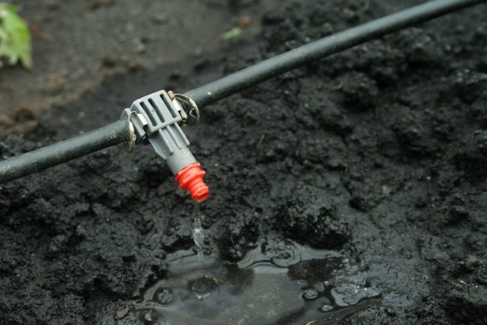 drip emitter